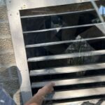 animal entry into building
