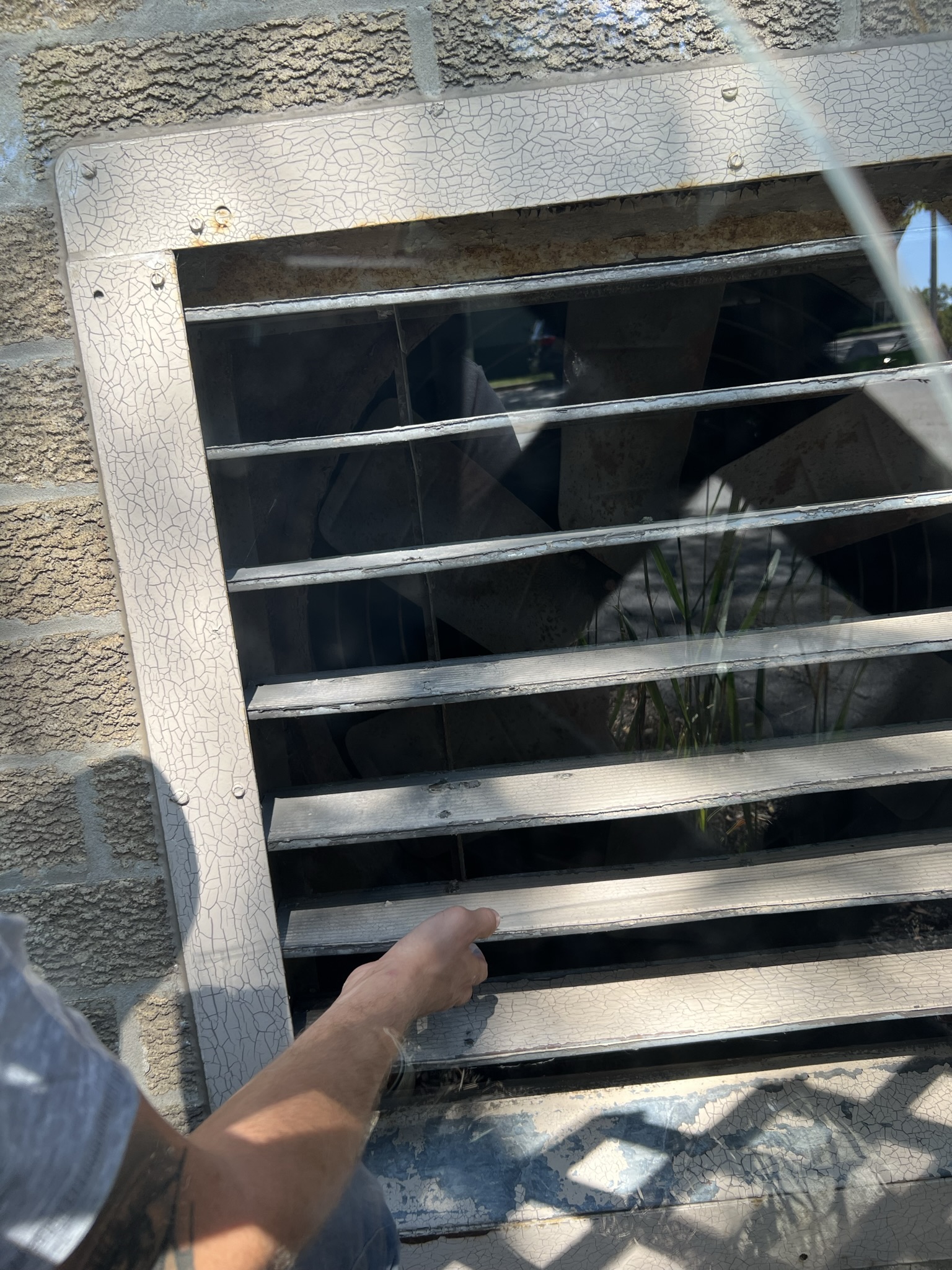animal entry into building